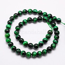 Природных тигровый глаз бисер нитей&nbsp;G-G544-6mm-03