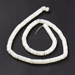 Нити бусин из натуральных трохоидных/трохус ракушек&nbsp;SSHEL-L016-13E