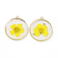 Подвески из прозрачной эпоксидной смолы&nbsp;RESI-L036-12G-02