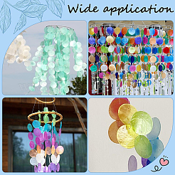 48 шт. 8 цвета натуральный Capiz ракушка соединительные подвески&nbsp;BSHE-SC0001-31