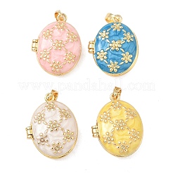 Латунь эмаль Locket подвески&nbsp;KK-F923-03A-G