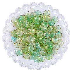 180 шт. акриловые колпачки для бусин&nbsp;OACR-PA0001-37B