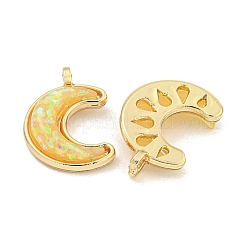 Подвески из полупрозрачной смолы&nbsp;KK-M291-23G-01