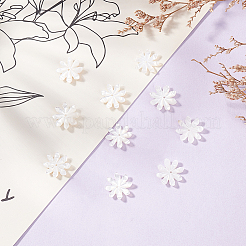 8 шт. натуральные бусины из ракушек FIND-GO0003-28