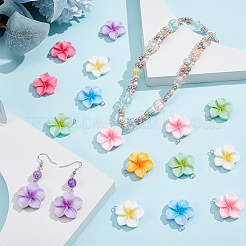 49 шт. 7 цвета непрозрачные подвески из смолы&nbsp;CRES-PH0001-30