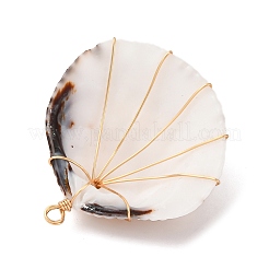 Подвески из медной проволоки из натуральной раковины моллюска&nbsp;PALLOY-TA00268