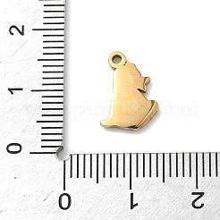 Подвески из нержавеющей стали 304 с эмалью&nbsp;STAS-G374-01G-03