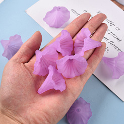 Прозрачные акриловые бусины&nbsp;BSF796-C08