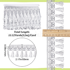 Бахрома из филигранного полиэфирного кружева длиной 12 м. OCOR-WH0089-12B