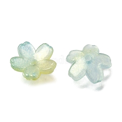 Акриловый шарик крышки OACR-I024-01I