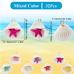 32 шт. летние пляжные подвески из натуральных ракушек&nbsp;FIND-SC0012-34