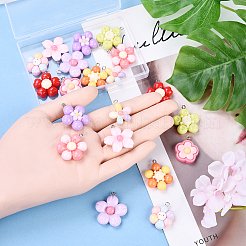 20шт 10 стиля подвески из смолы&nbsp;RESI-YW0002-07