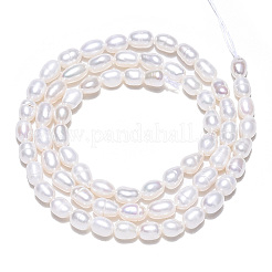 Нити из натурального культивированного пресноводного жемчуга PEAR-N012-03E