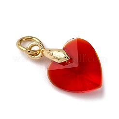 10шт 10 цвета стеклянные подвески&nbsp;PALLOY-JF04432