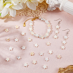 2 нити нити бусины из пресноводных ракушек&nbsp;SHEL-SC0001-86