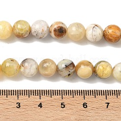 Природные желтые опал бусины пряди&nbsp;G-I213-18-8mm