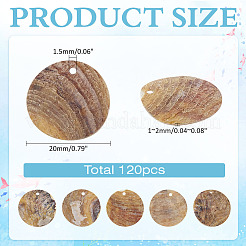 120 шт. подвески из натуральной ракушки акойя SHEL-ME0001-01