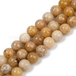 Природный агат бисер нитей&nbsp;G-U026-A07-8mm