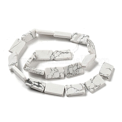 Природные Говлит бисер нитей G-M420-G09-01