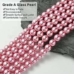 Круглые бусины из экологически чистого окрашенного стекла с жемчугом&nbsp;LS-HY-A002-12mm-RB109