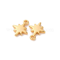 Латунные подвески&nbsp;KK-K382-45G