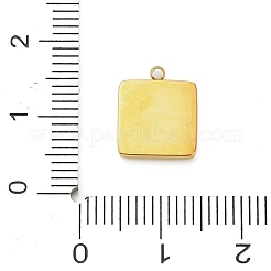 Подвески из эмалированной нержавеющей стали 304&nbsp;LS-STAS-F331-01B-G