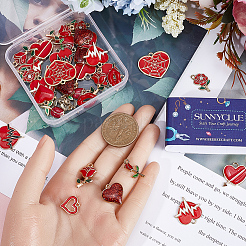 Подвески из сплава эмали 48шт 12 стиля ENAM-SC0004-54