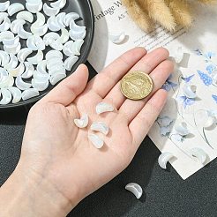 100шт ручной работы бусины лэмпворк&nbsp;LAMP-CJ0001-84