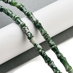 Натуральные зеленые пятна яшмовых нитей G-Q178-A15-01