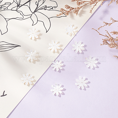 8 шт. натуральные бусины из ракушек FIND-GO0003-28-1