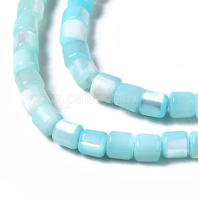 Натуральная оболочка трохида SSHEL-N034-77-C04-1