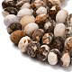 Природные окаменелое дерево бисер пряди&nbsp;G-C259-A06-8x12mm-02-3