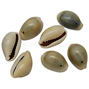 Подвески из натуральной каури BSHE-S050