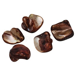 Perles de coquillages naturels d'eau douce, teinte, brun coco, taille: environ 10~20 mm de long,  largeur de 12~18 mm, épaisseur de 5~9mm, Trou: 1mm, environ 320 pcs/500 g