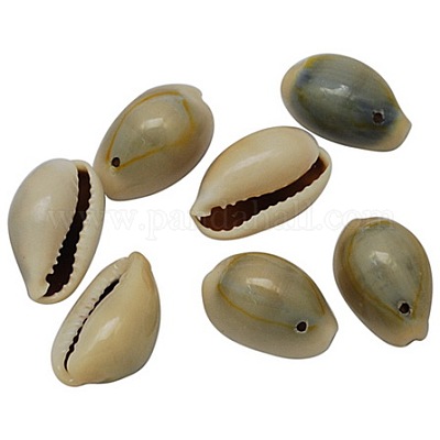 Подвески из натуральной каури BSHE-S050-1