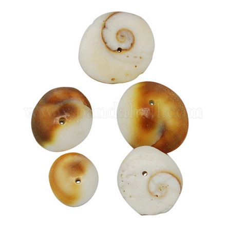 Cuentas de concha de ojo de shiva natural BSHE-S113-1