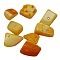 Natural Freshwater Shell Chips Beads, Shell Shards, Dyed, Gold, 8~17x5~7x4~6mm, Hole: 1mm, about 640pcs/500g