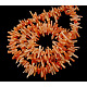 Natural Coral Beads Strands DC015Y-2
