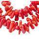 Natural Coral Beads Strands DC022Y-1