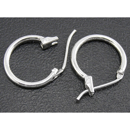 Brass Hoop Earrings EC107-2NFS-1