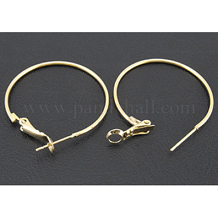 Brass Hoop Earrings EC108-2NFG-1