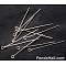 Iron Eye Pin, Cadmium Free & Lead Free, Platinum, 18x0.7mm, Hole: 2mm, about 13800~14000pcs/1000g