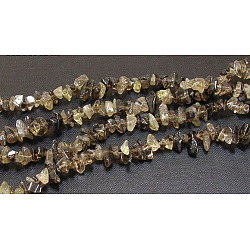 Copeaux de quartz enfumés naturelles perles brins, 5~8mm, Trou: 0.3mm, 32 pouce