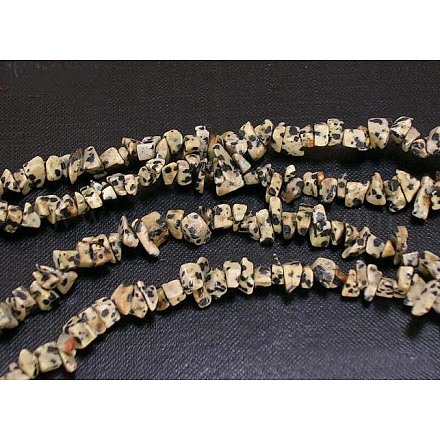 Natural Dalmatian Jasper Chips Beads Strands F004-1