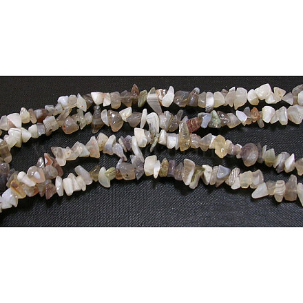 Natural Striped Agate/Banded Agate Chips Beads Strands F022-1