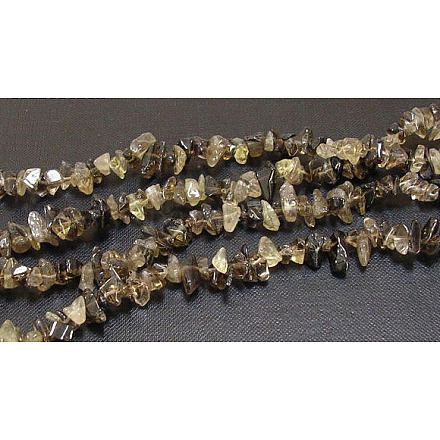 Natural Smoky Quartz Chips Beads Strands F037-1