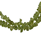Natural Olive Jade Chips Beads Strands F045-1-1