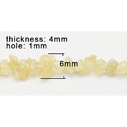 Gemstone Beads Strands, Natural Citrine, Pale Goldenrod, Size: about 6mm wide, 4mm thick, hole: 1mm, about 94pcs/strand, 15.7 inch
