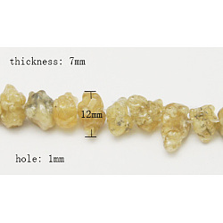 Gemstone Beads Strands, Natural Citrine, Dark Goldenrod, Size: about 12mm wide, 7mm thick, hole: 1mm, 64pcs/strand, 15.7 inch