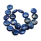Natural lapis lazuli Beads Strands G-FL8X20-123-2